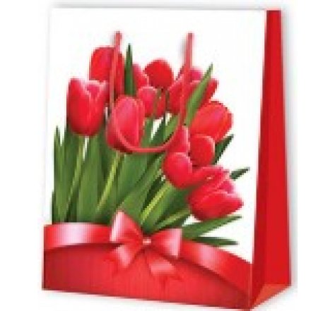 Taška dárková malá tulipány