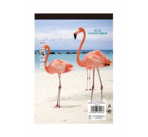 Blok A4 čtvereček 50 listů concorde