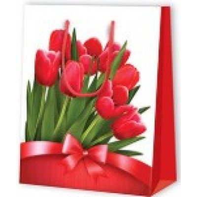 Taška dárková malá tulipány