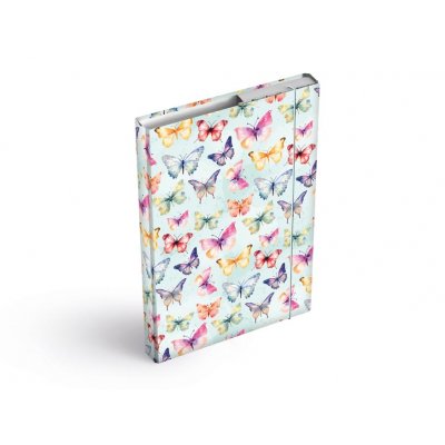 Box na sešity A5 motýli