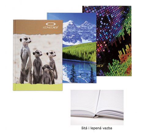 Záznamní kniha A5 linka 192 l juni