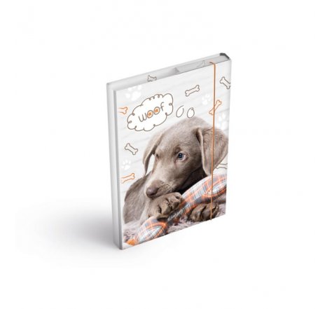 Box na sešity A4 PES  mf