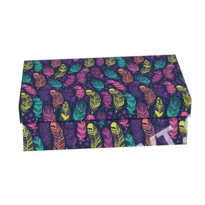 Krabice školní 33x22,5x8  peříčka