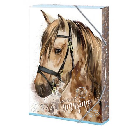 Box na sešity A5 yoz are so amazing Arg.1241-0293