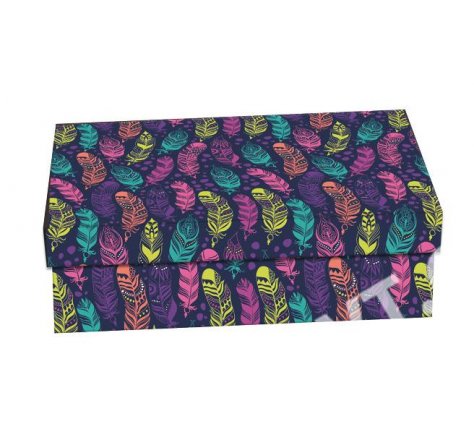 Krabice školní 33x22,5x8  peříčka