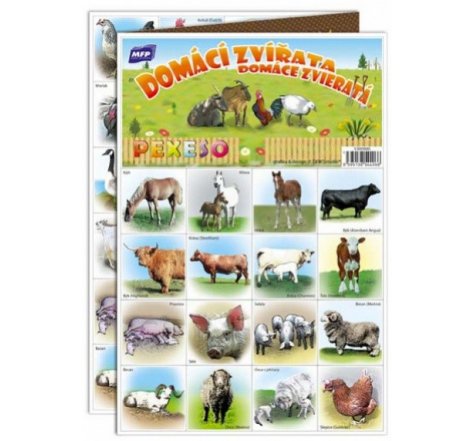 Pexeso domácí zvířata  mf