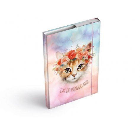 Box na sešity A4 kočka